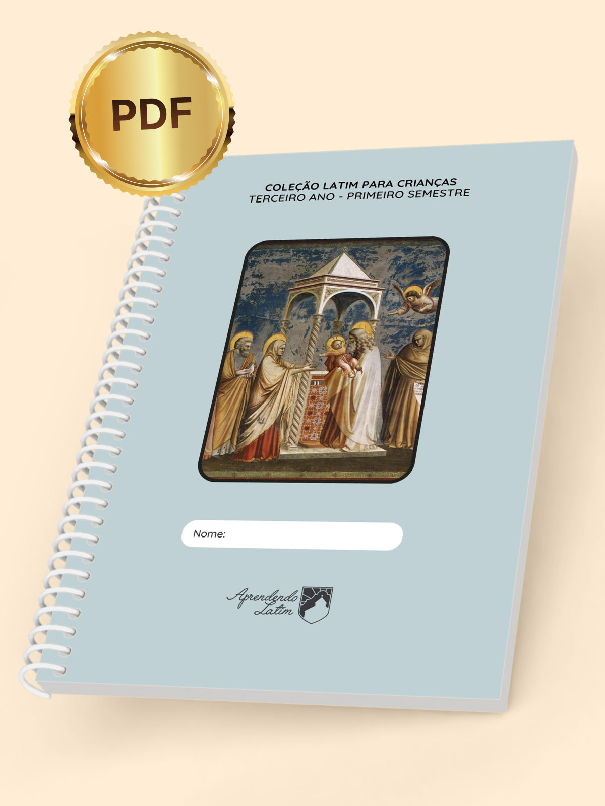 Terceiro Ano - Primeiro Semestre