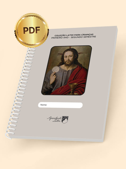 Primeiro Ano - Segundo Semestre