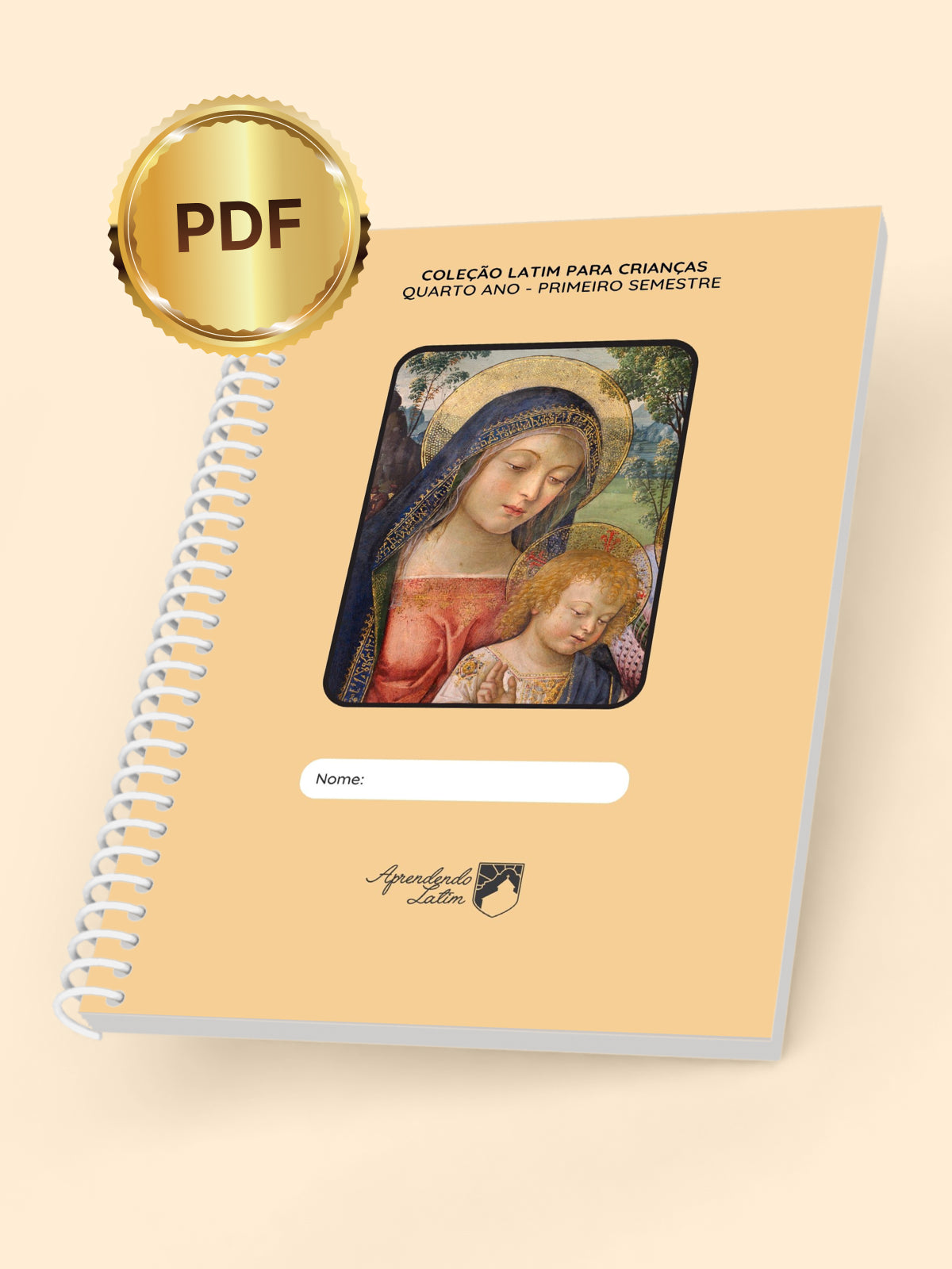 Quarto Ano - Primeiro Semestre