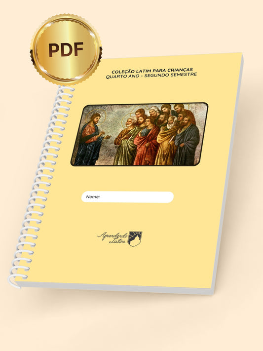 Terceiro Ano - Segundo Semestre