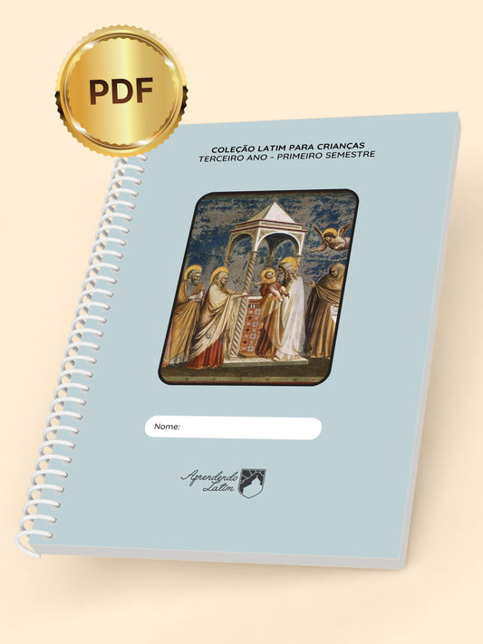 Terceiro Ano - Primeiro Semestre