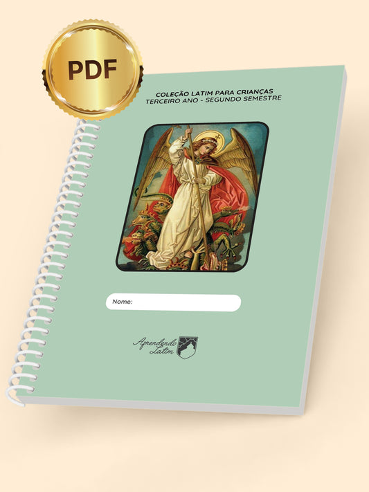 Segundo Ano - Segundo Semestre